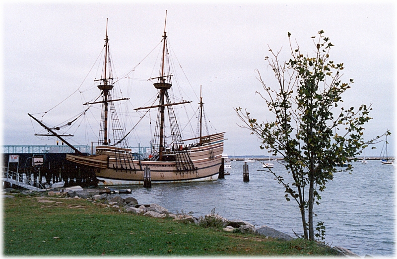 Pilgrim Belle, New England America.jpg